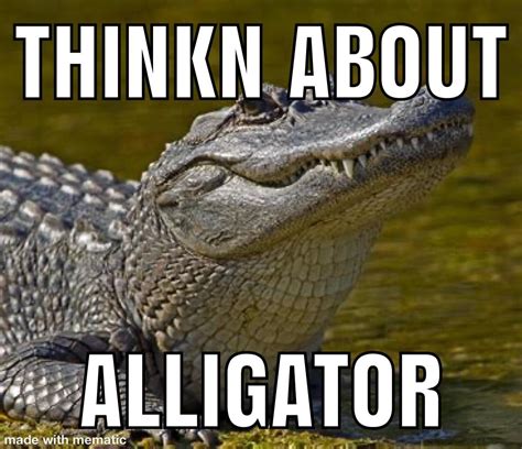 alligator meme